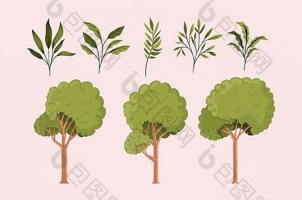 绿叶和树木自然设置图标