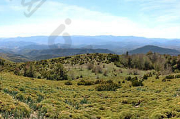 西班牙阿拉贡佩尼亚奥罗埃尔山边缘的一条小路，以比利牛斯山脉为背景，一个宽阔的山谷，蓝天和一些灌木丛