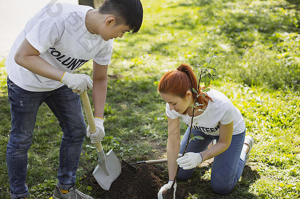 两名青年<strong>志愿者</strong>在植树