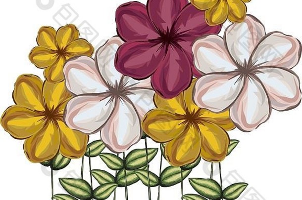 水彩剪影集马尔瓦花与茎和叶的颜色红，白，黄