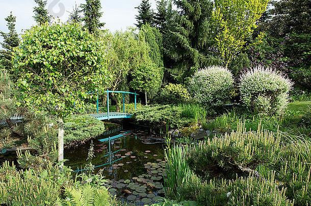 春天花园池塘上的绿色小桥