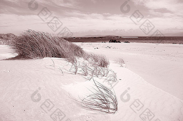 特雷格禁止白色海滩僧侣海滩爱奥那岛苏格兰黑色的白色乌贼语气