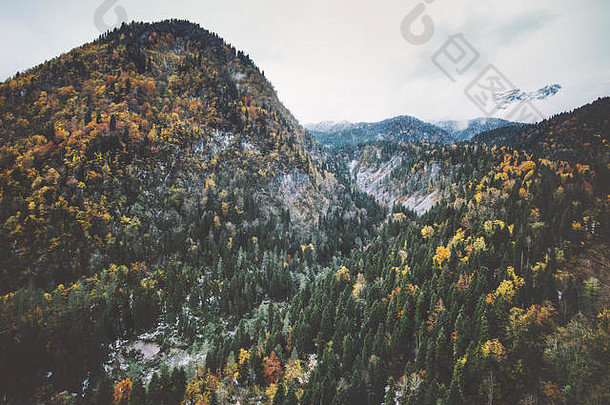 山森林景观空中视图树背景旅行宁静风景秋天季节