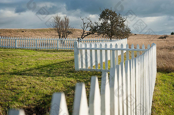 华盛顿州普吉特湾圣胡安岛上，一道白色的尖桩篱笆似乎沿着美国营地的草地四处游荡。