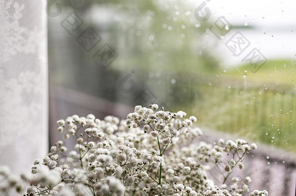 小白色花窗口背景软首页装饰白色满天星花花瓶复古的风格雨滴