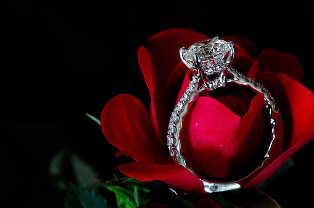 钻石订婚环红色的玫瑰铂铺平道路