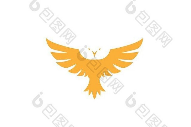 鹰身体设计标志
