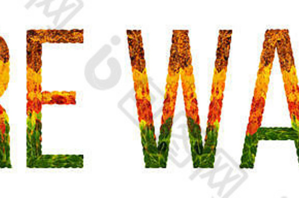 词火墙写叶子白色孤立的背景横幅印刷有创意的插图彩色的叶子