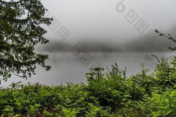 南斯科库姆湖上的雾滚滚而来