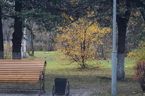 西伯利亚秋季城市公园，恶劣天气，10月底