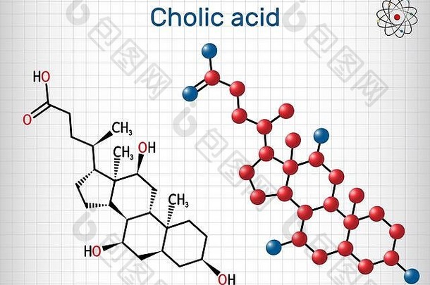 胆的酸给分子主要主甚至酸生产肝营养补充结构化学公式分子