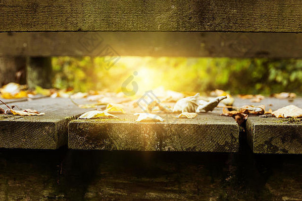 秋高气爽的阳光下的木桥