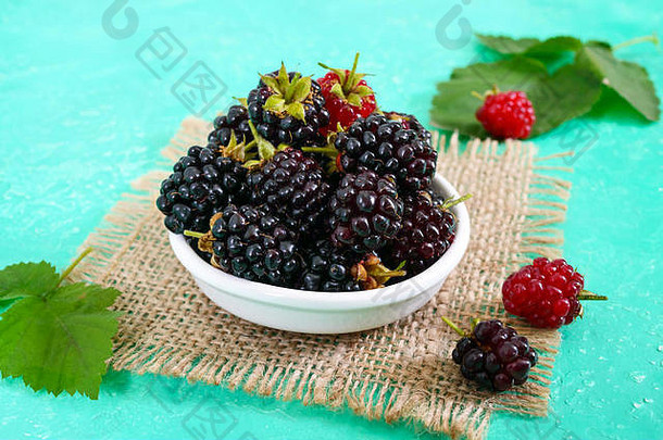 美味的成熟黑莓放在陶瓷碗里，背景明亮。