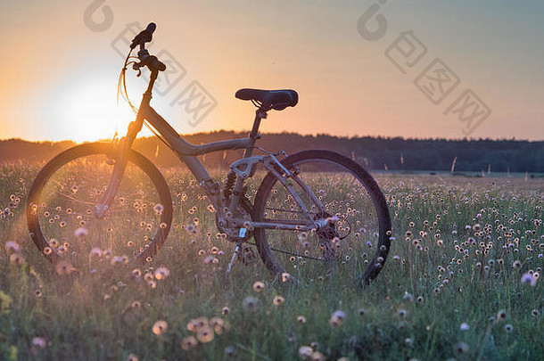 日落在布格河和自行车旁的草地上。足发育。波德拉契亚。波兰、欧洲。该地区被称为波德拉斯科或波德拉泽。全景图。