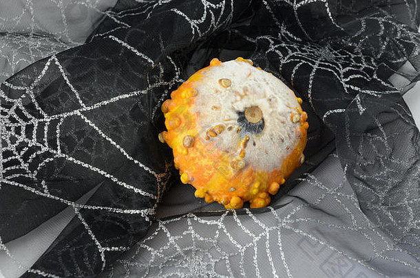 万圣节鬼屋蜘蛛网织物上发霉的鸡皮疙瘩南瓜装饰