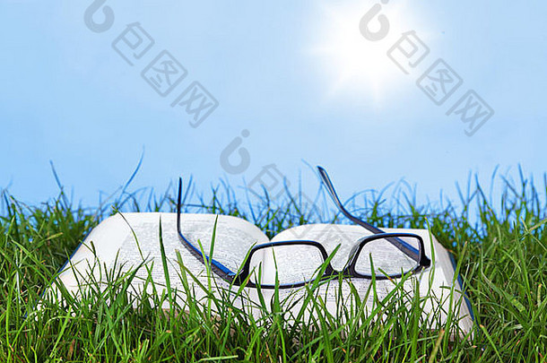 在阳光明媚的日子里，一本打开的书和户外草地上的眼镜的照片