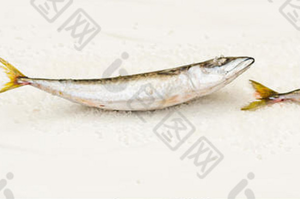 全生有机鲭鱼，含海盐，放在平坦的表面上，是健康的食物