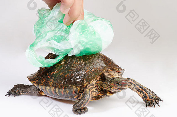 人类用手从海龟背上取下塑料袋。生态问题主题