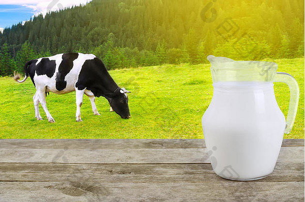 牛奶玻璃壶木表格放牧牛草地阳光背景牛奶牛背景