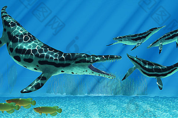 当亚洲龙鱼游向另一边时，一群海豚试图逃离一种巨大的克罗龙海洋爬行动物。