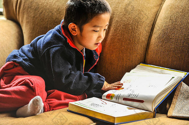 一个小男孩坐在沙发上看一本大图画书。特写、自然光、水平、非姿势