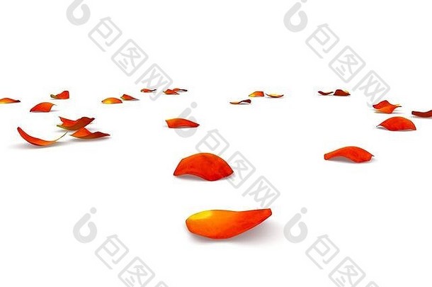 橙色玫瑰花瓣飞行地板上孤立的白色背景