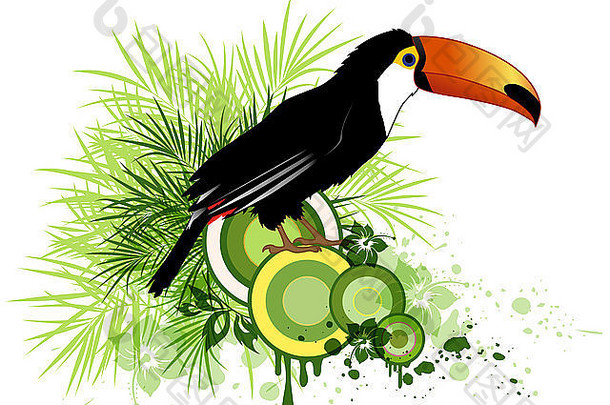 夏天装饰背景热带花绿色棕榈鸟