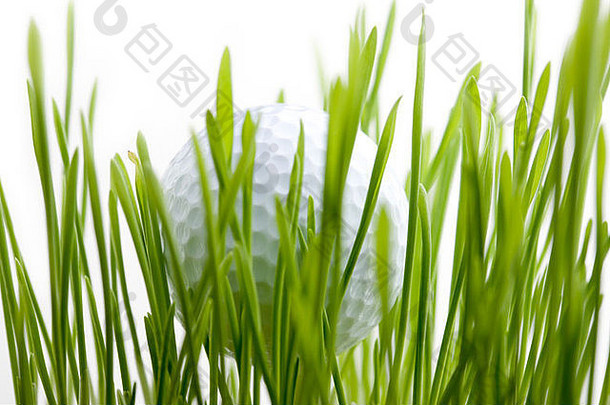 白色高尔夫球在青草中间