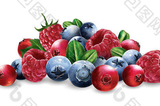 覆盆子、小红莓、蓝莓和草莓