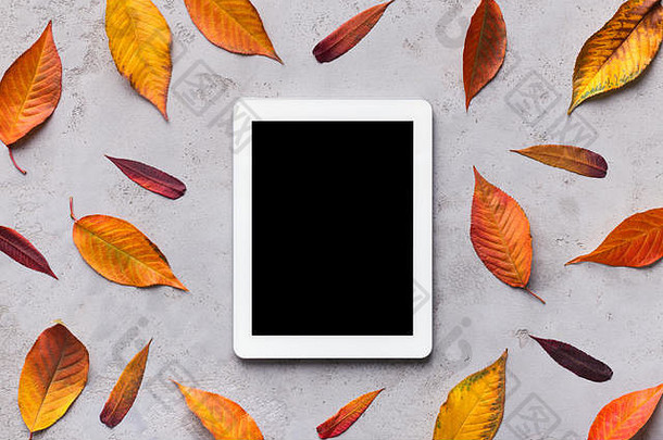 平板电脑黑色的空白屏幕秋天下降叶子