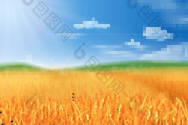 夏天的景色，一片成熟的麦田，背景是丘陵和山谷