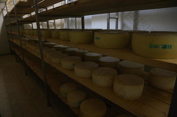 奶酪工厂希腊