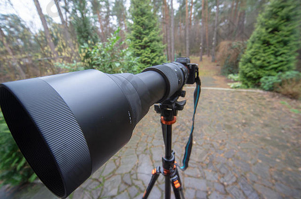 三脚架无镜相机上焦距为150 mm至600 mm的黑色长变焦镜头，摄影