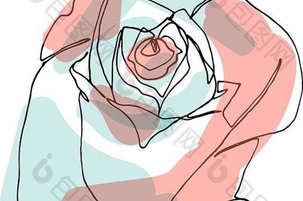 手绘玫瑰花，单幅连续画。