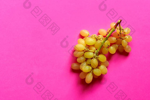 上图为工作室内一束粉红色背景的无籽甜葡萄