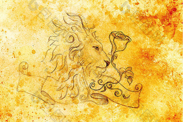 狮子与玫瑰和缎带装饰，原始手绘，铅笔素描在纸上。色彩效果。