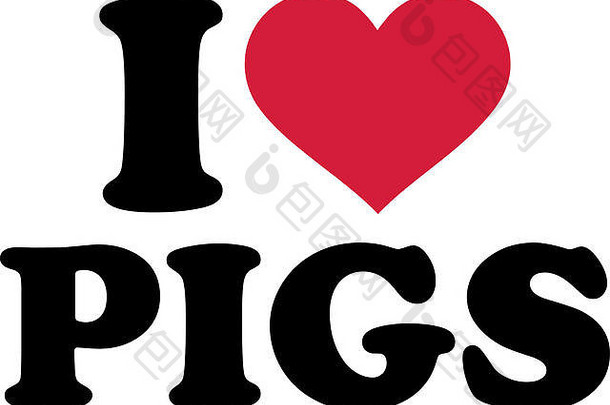 我喜欢猪