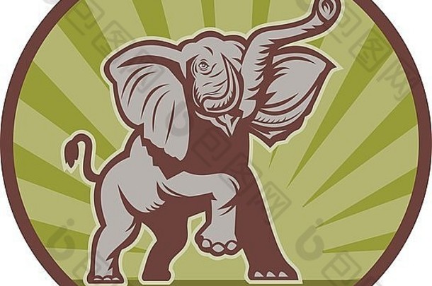 插图非洲大象充电攻击集ijside圆