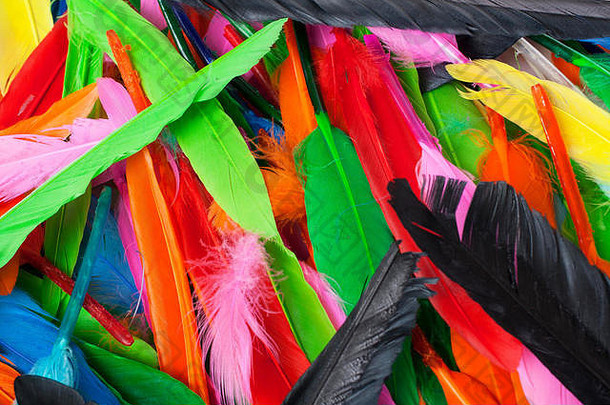 有创意的爱好工具真正的彩色的鸟羽毛礼服装饰纹理背景彩虹颜色