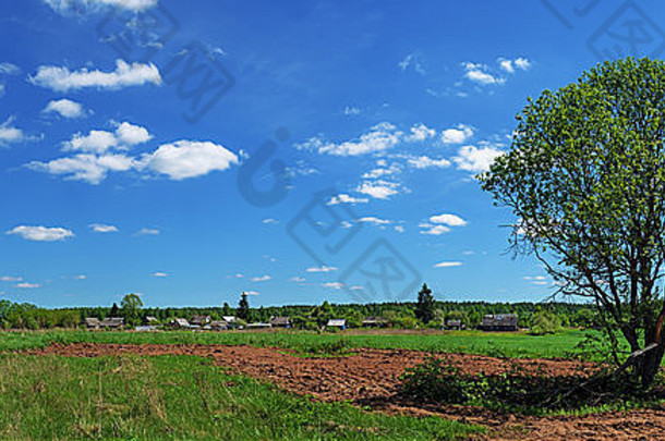 村庄附近的破树和农田。