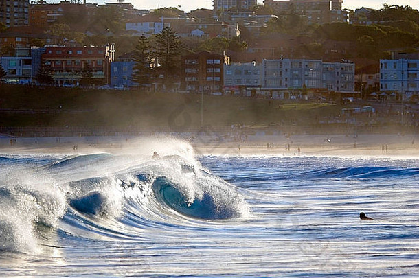 夏日午后，在澳大利亚悉尼邦迪海滩冲浪。美丽的蓝色海水。