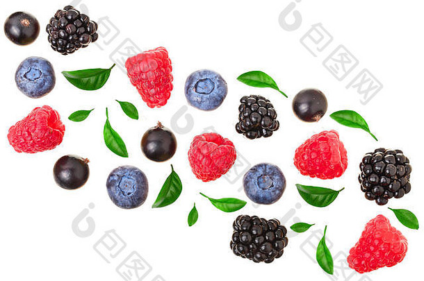 黑莓、蓝莓、覆盆子、黑加仑子、白色背景、文本空间。顶视图。平铺模式