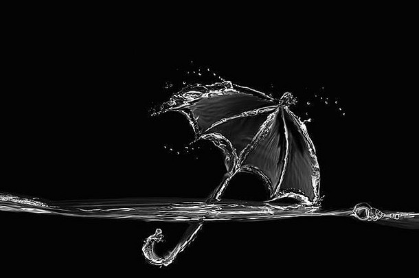 黑色的白色伞使水浮动水