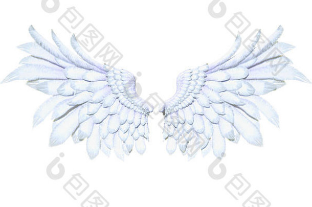 天使的翅膀，白色的翅膀羽毛隔离在白色的背景上