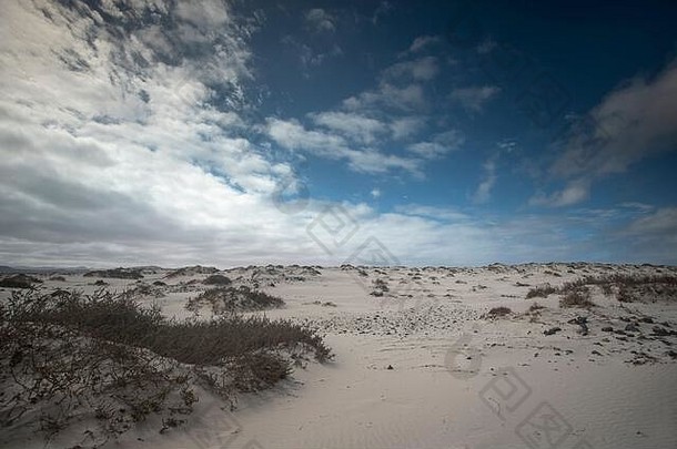 沿海沙漠景观瓦尔文托jadia富埃特文图拉沙子沙丘