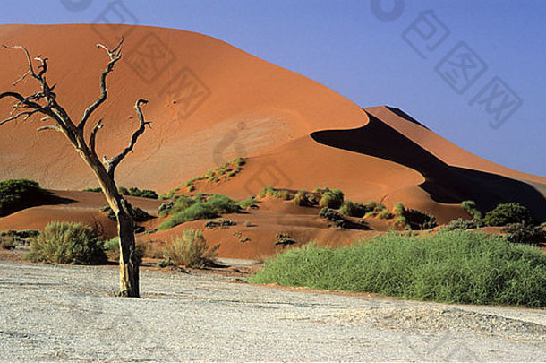 Sossusvlei纳米比亚纳米布沙漠
