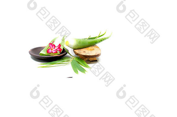 芦荟切片（芦荟、星仙人掌、芦荟、芦荟素、哈夫拉巴或巴巴多斯）是一种非常有用的皮肤护理和头发护理草药-