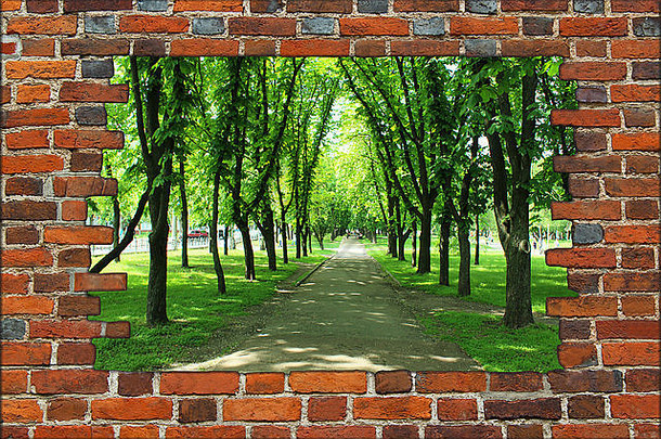破碎的砖墙视图夏天城市公园绿色树