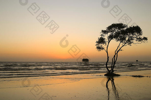日出孤独的树橙色的天空在沙滩上丹青海滩去越南从天而降