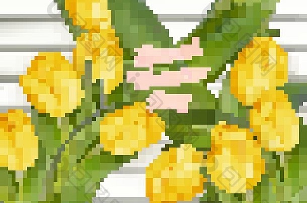 3月黄色的郁金香每股收益